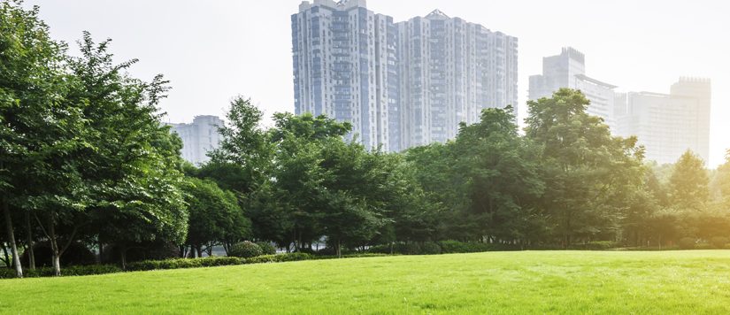 האם השקעה בבנייה ירוקה כדאית כלכלית?