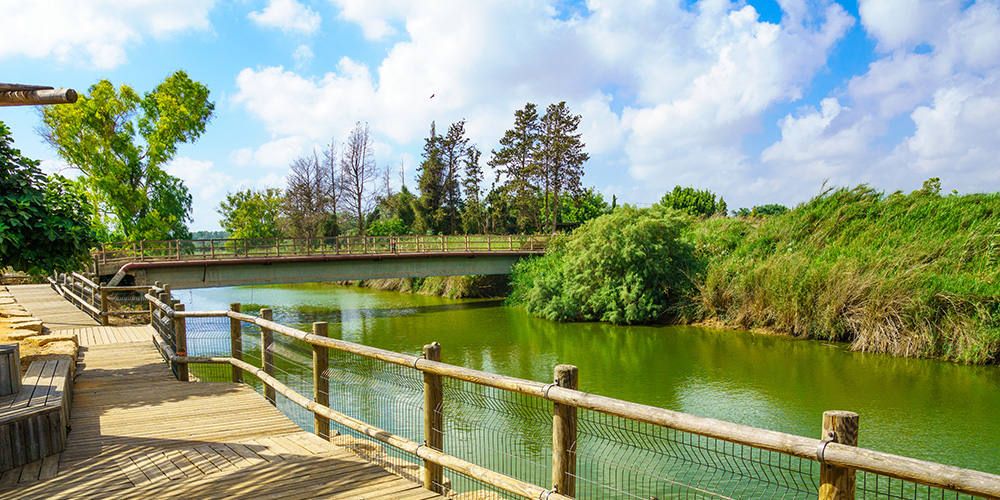 הדבר החם הבא: תשתיות כחולות ברשויות מקומיות