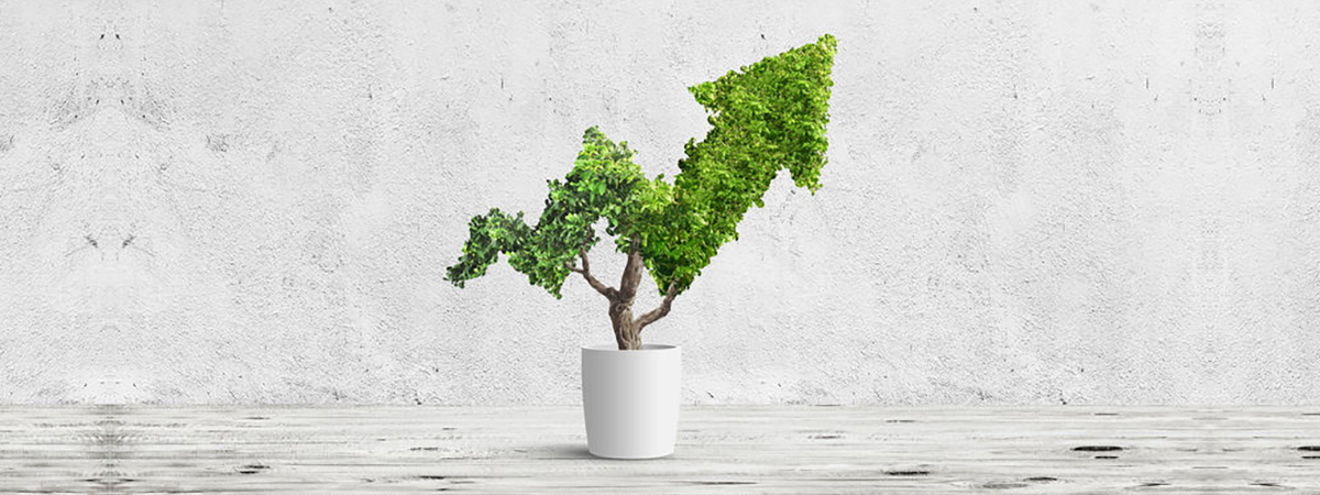 מבידוד חברתי לצמיחה כלכלית