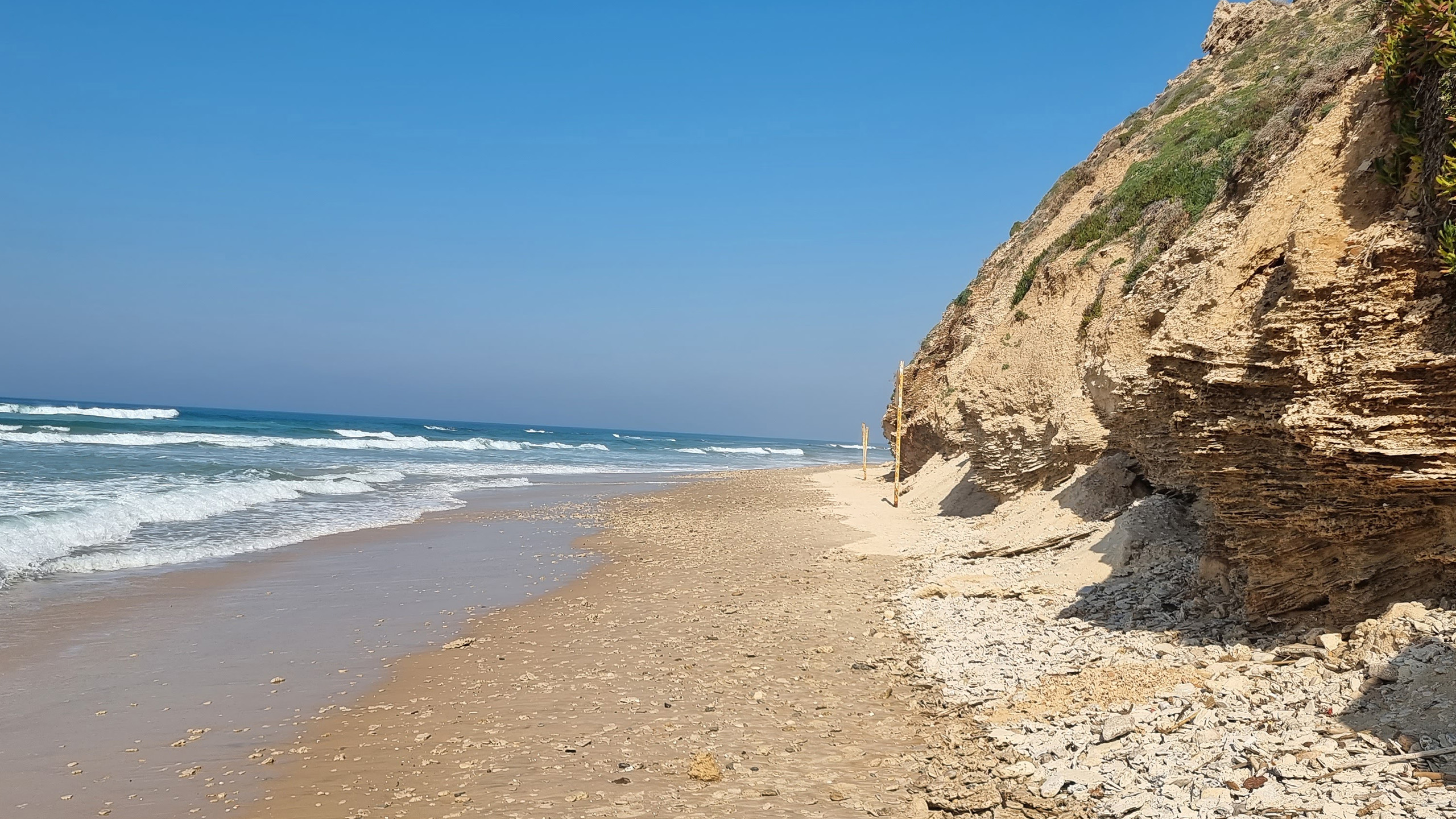 ניהול וקידום תוכנית חזית הים הרצליה וניהול 7 תוכניות מפורטות במקביל